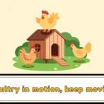 Poultry Puns