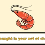 Prawn Puns