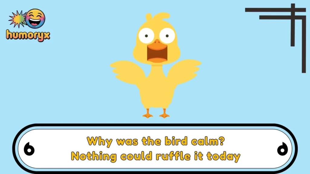 Silly Bird Dad Jokes