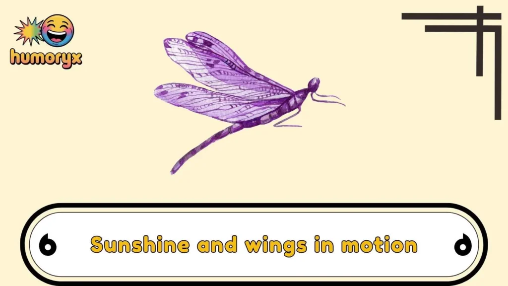 Dragonfly Caption Puns Perfect for Social Media