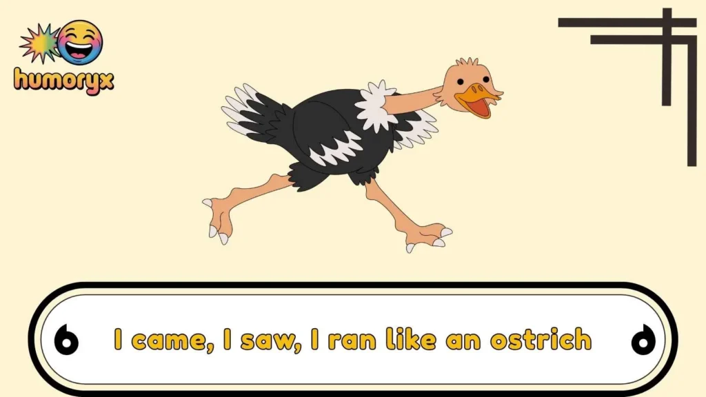 Funny Ostrich Puns for Everyday Laughs