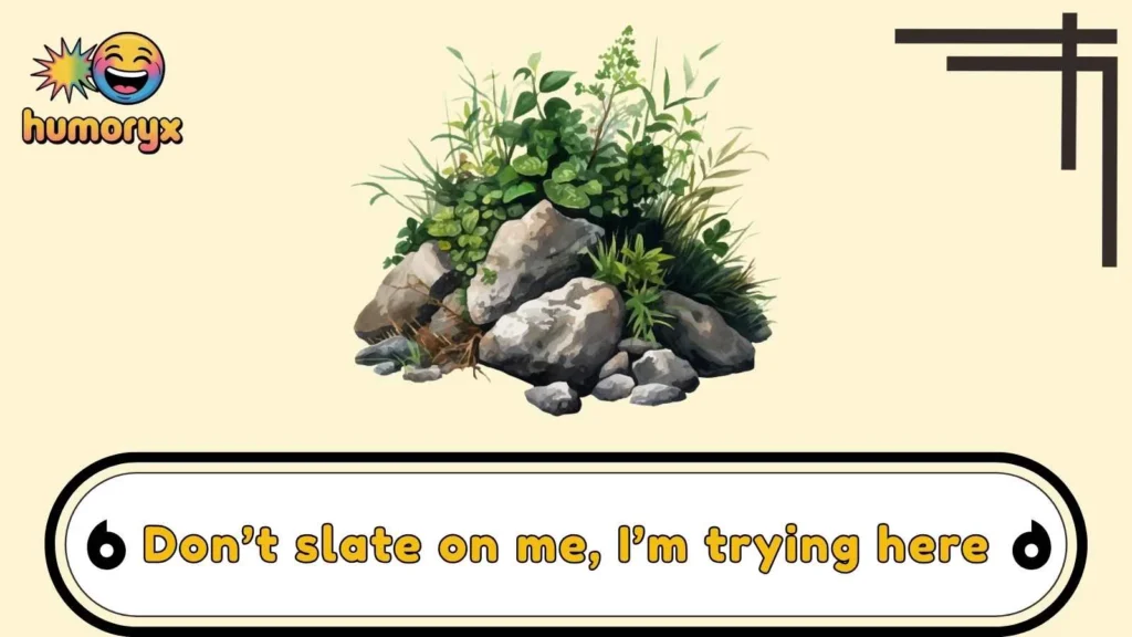 Hilarious Igneous Rock Puns
