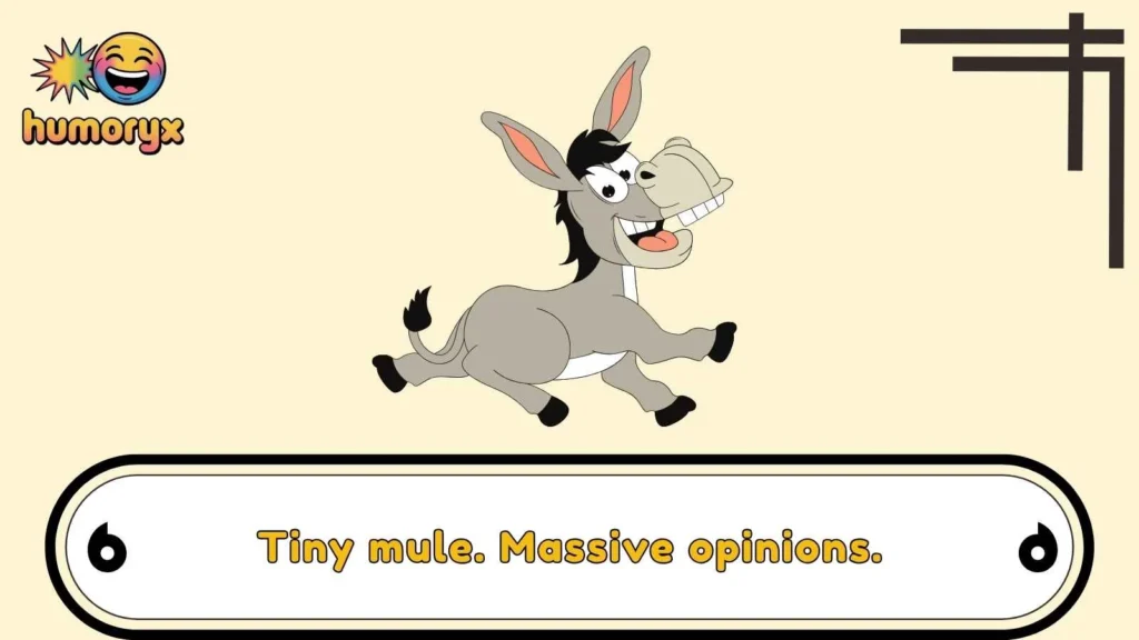 Cute Mule Puns With Big Personality