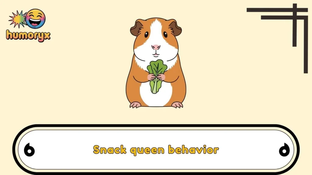 Guinea Pig Caption Puns