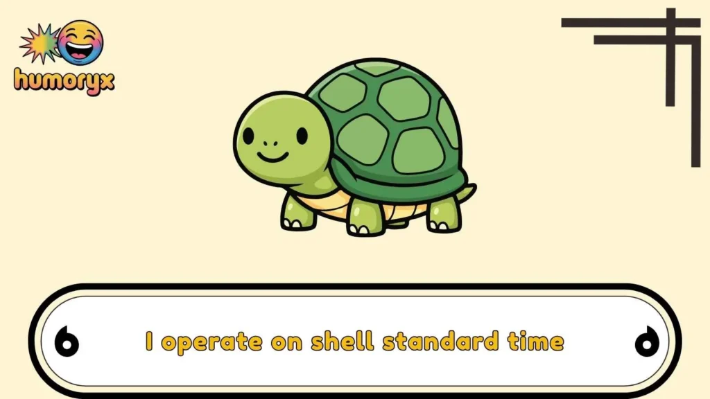 Clever Tortoise Wordplay That Never Gets Old