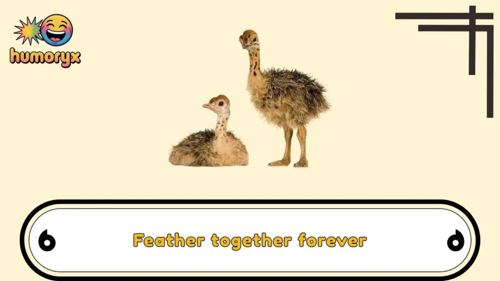Cute Emu Puns for Animal Lovers