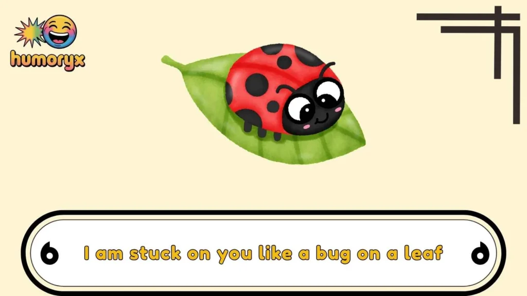 Lady Bug Love Puns