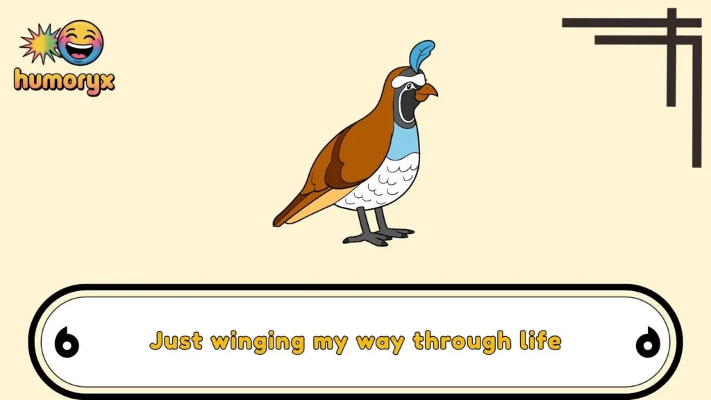 Quail Caption Puns