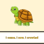 tortoise puns