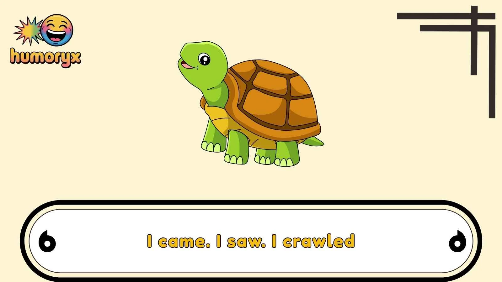 tortoise puns